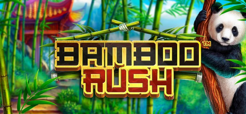 Betsoft-Slots+ BAMBOO RUSH-JY娛樂城老虎機-通博娛樂-通博.cc-通博真人-通博評價-AV-影城