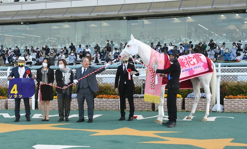 純白ソダシ順利拿下櫻花賞