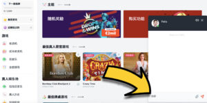 Bitcasino的客戶支持