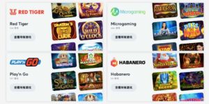 Bitcasino的遊戲提供商