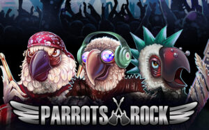 parrots-rock_650x406-JY娛樂城老虎機-通博娛樂-JY娛樂城-通博真人-通博評價-AV-影城